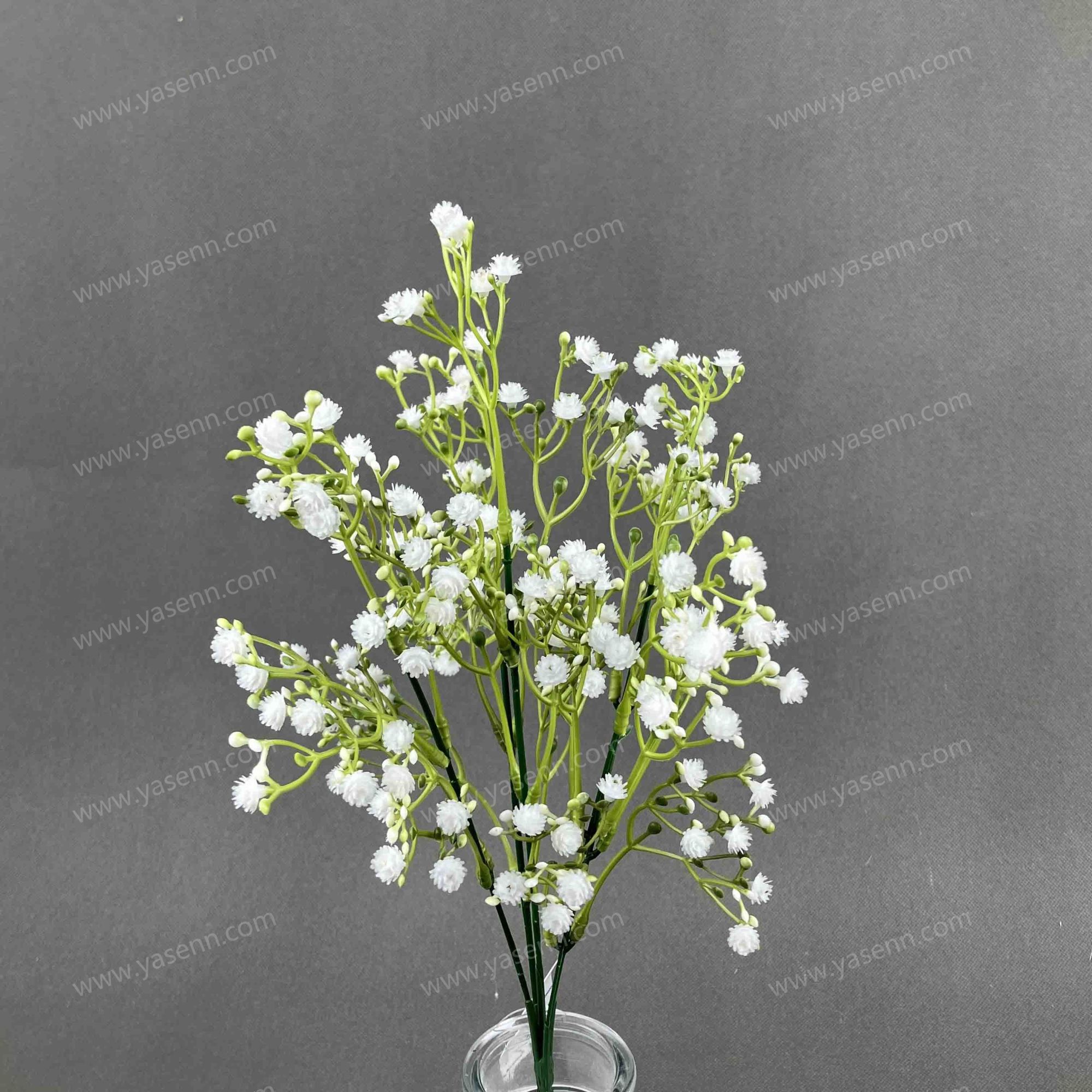 HEIGHT 36CM 5 GYPSOHILA  YSB24070