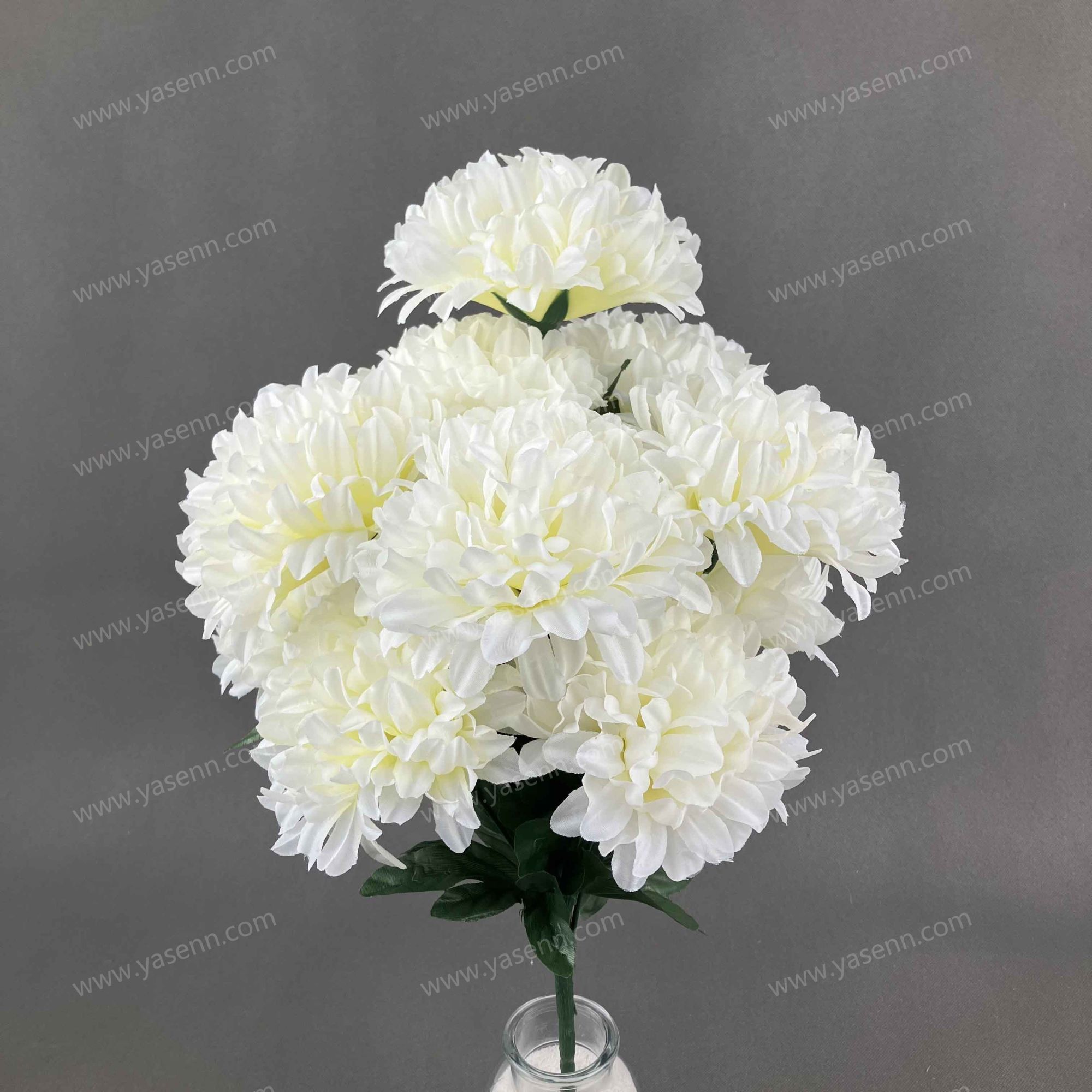 50CM 12 MUM YSB24005