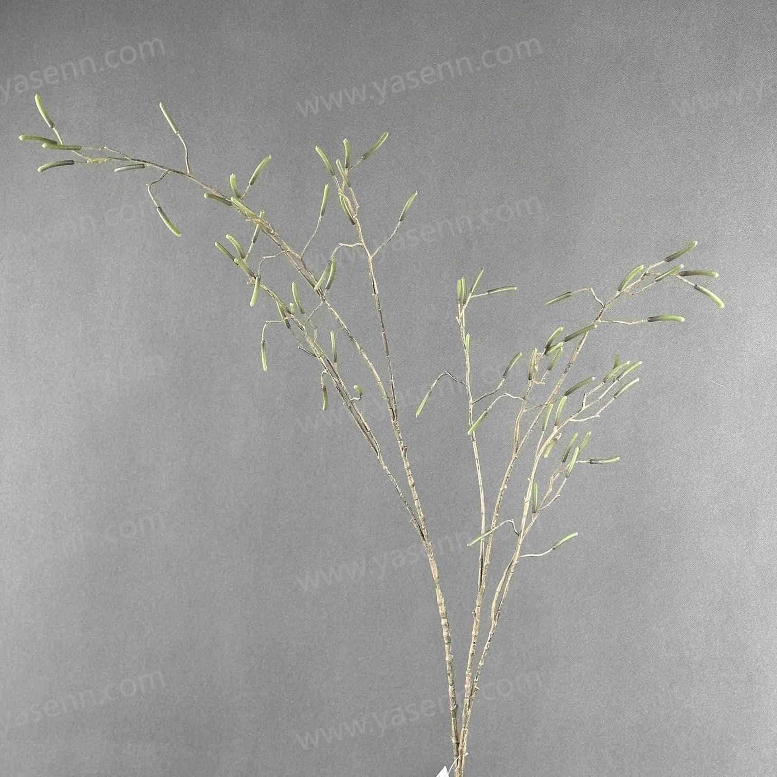 124CM SINGLE STEM OF ADZUKI BEAN YSL24031