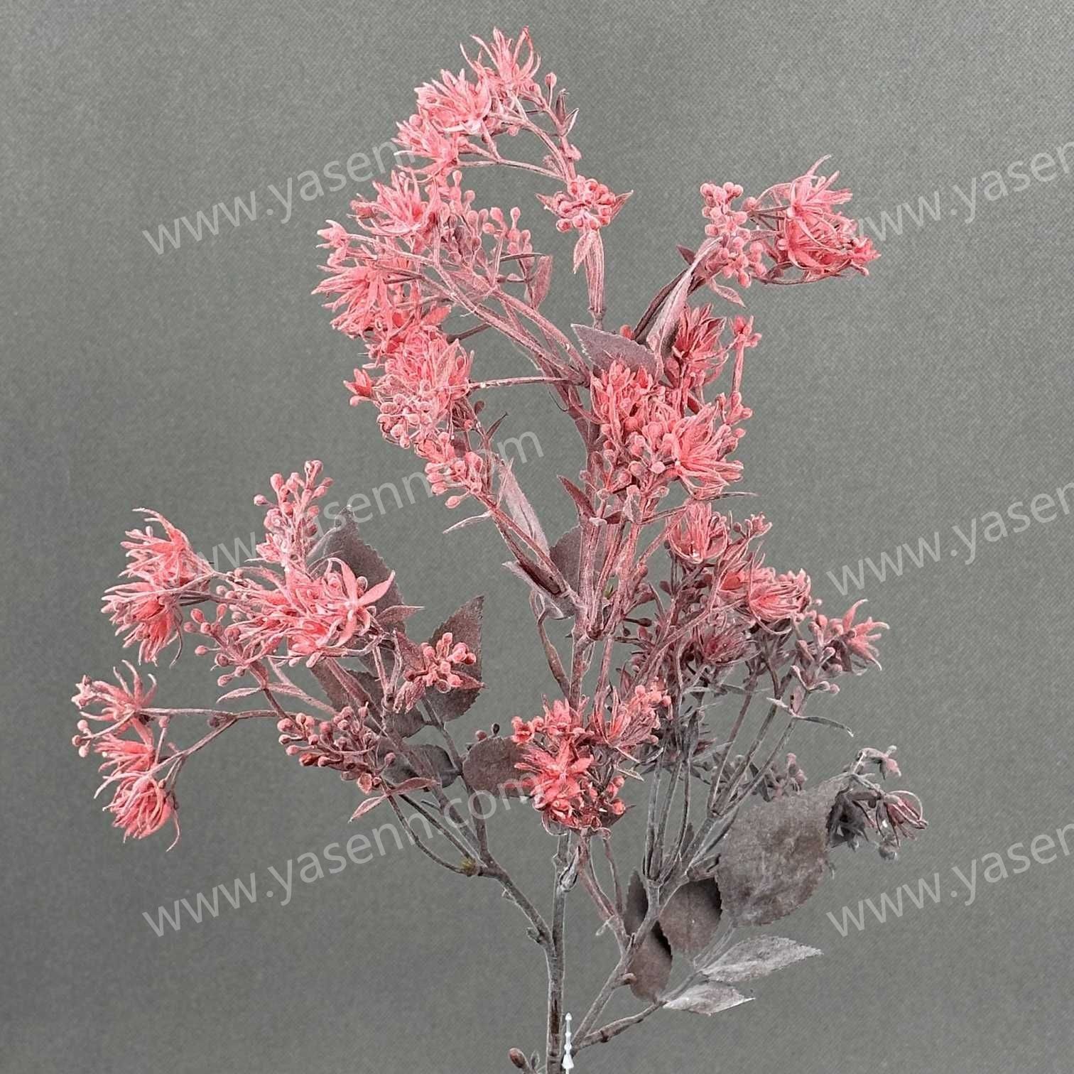 80CM SANSEVIERIA YSS24042