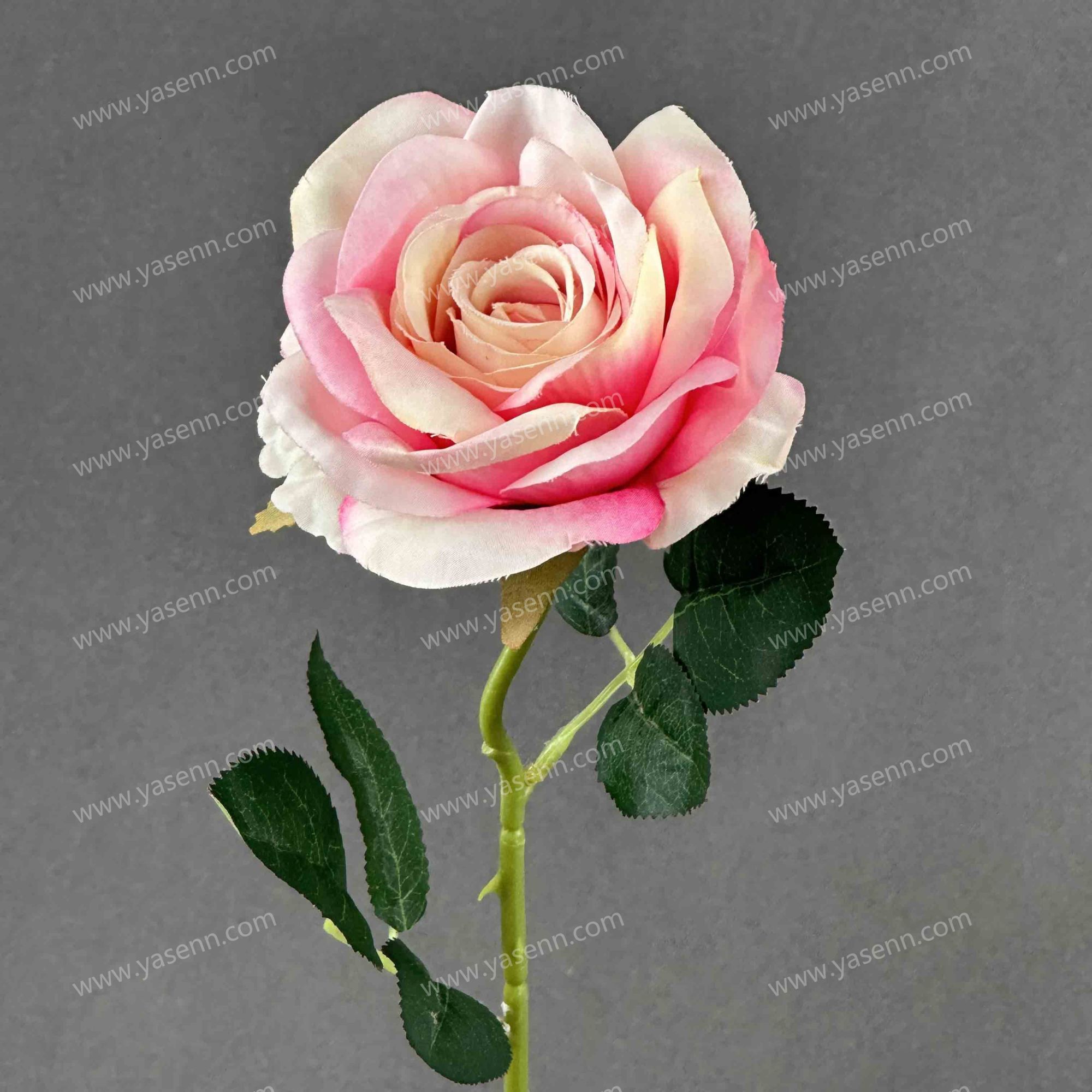 73CM ROSE YSZ221161