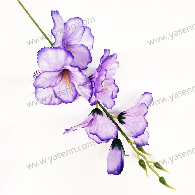 56CM SINGLE GLADIOLUS YSZ221376E