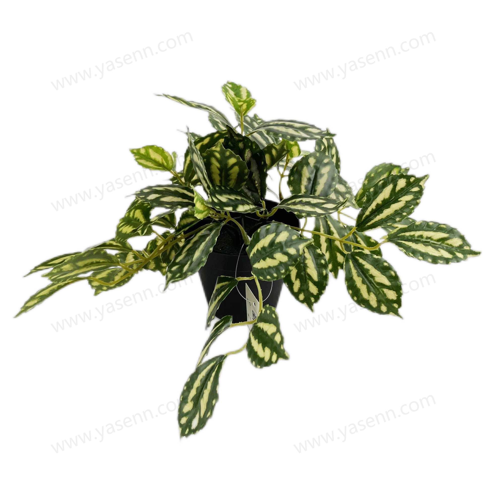 HEIGHT 20CM   55 LEAVES  YSM23066