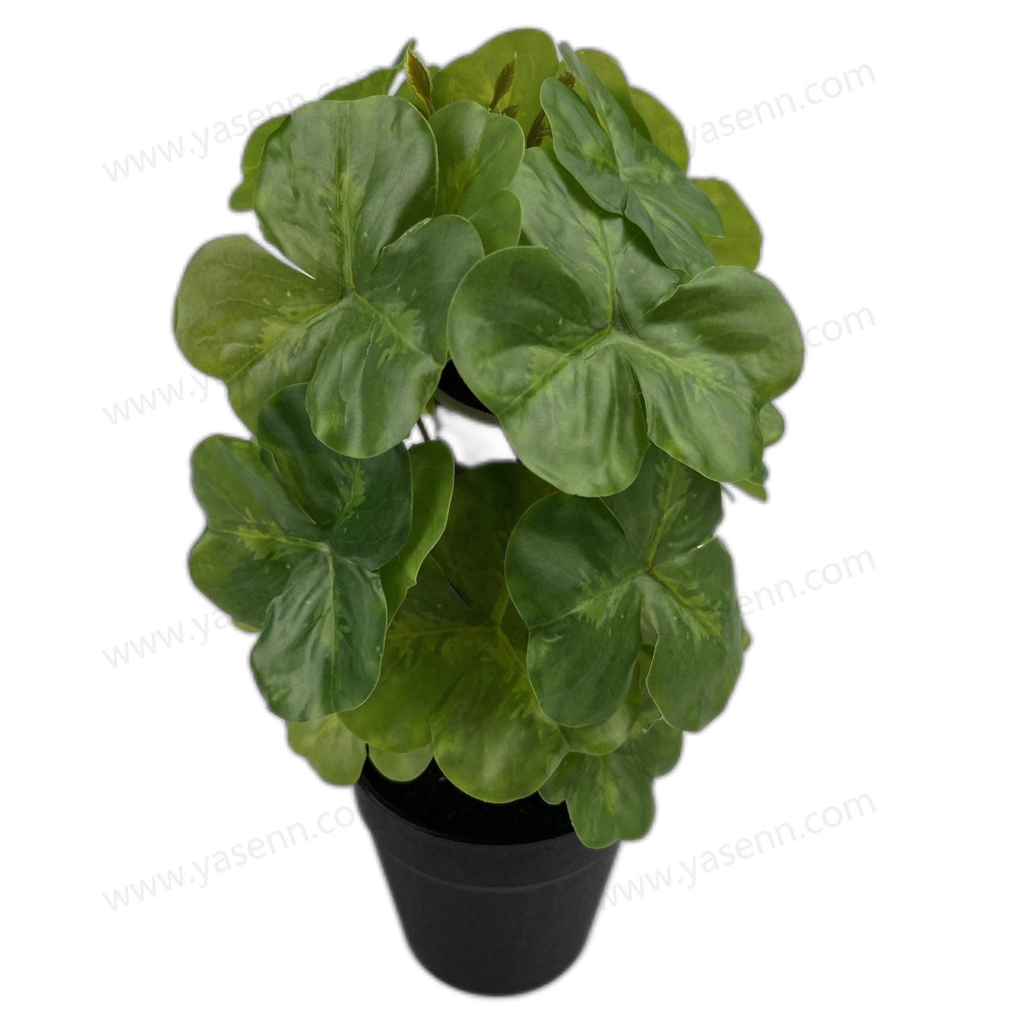 HEIGHT 25CM  24 LEAVES  YSM23067