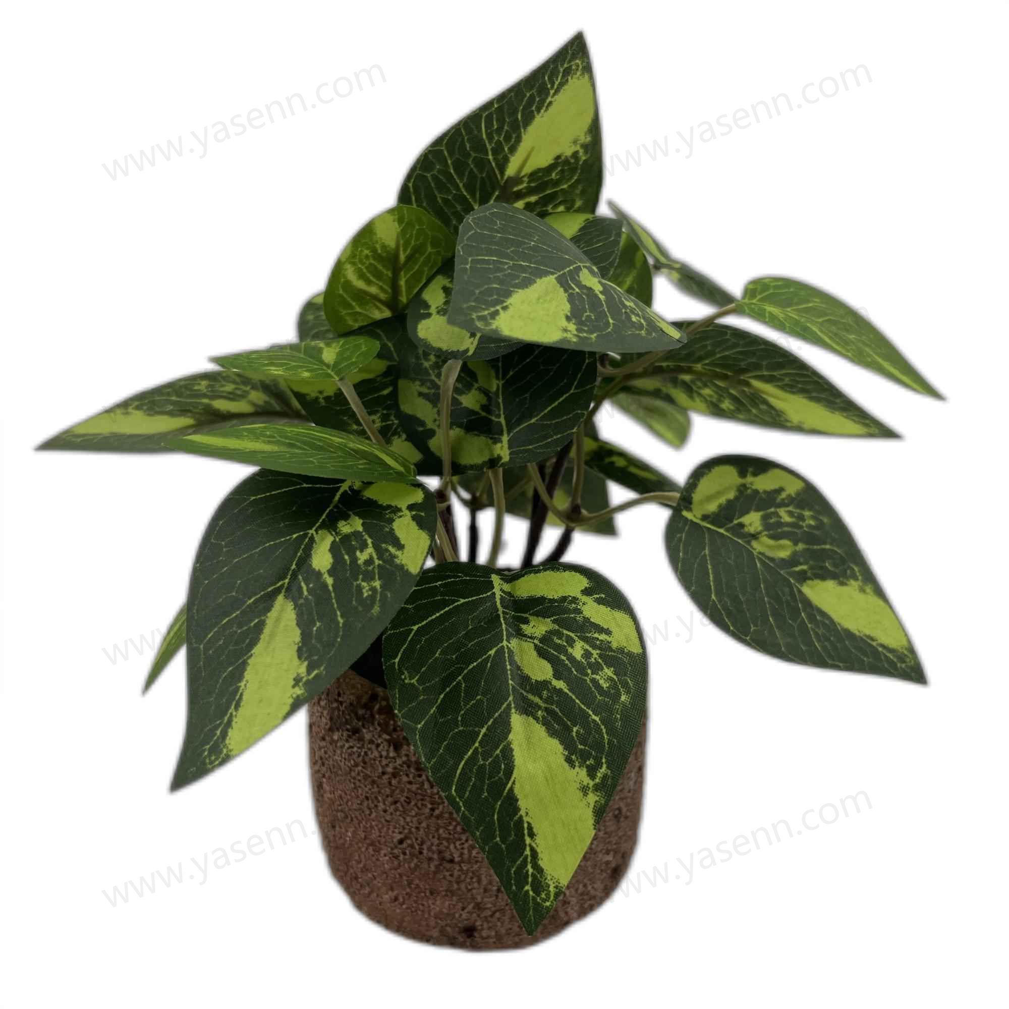 HEIGHT 20CM  27 LEAVES  YSM23071