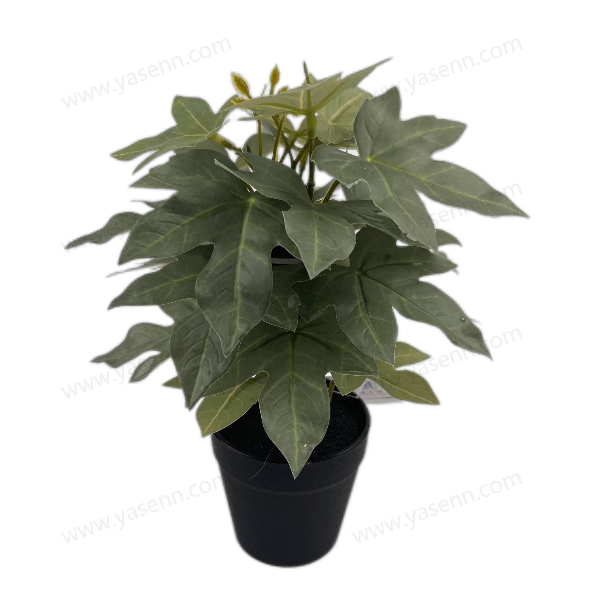 HEIGHT 26CM   24 LEAVES   YSM23074