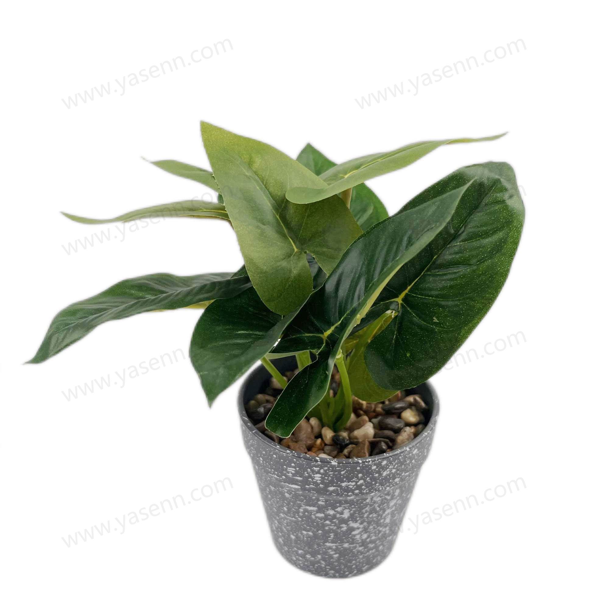 HEIGHT 19CM  11 LEAVES  YSM23077