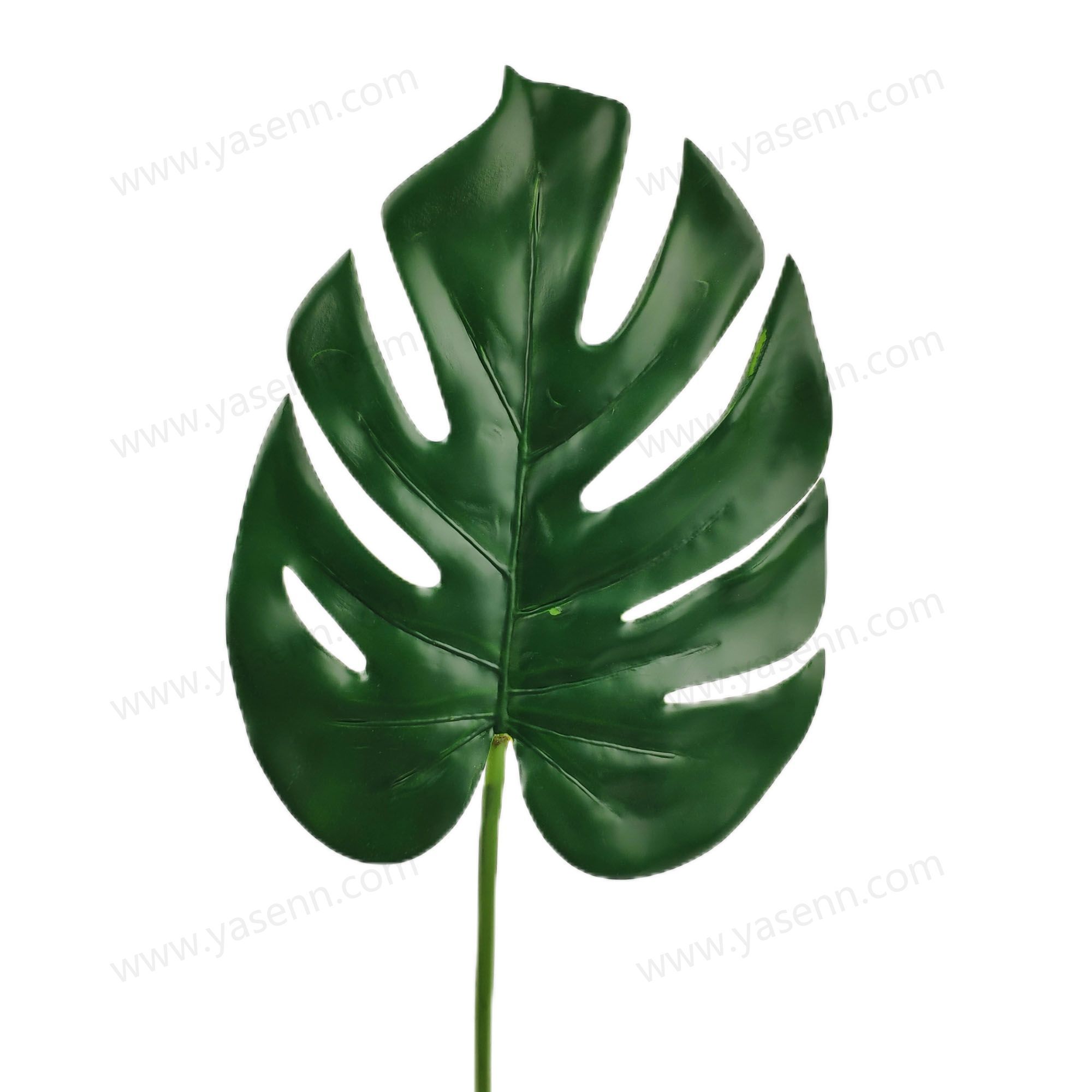 YSL23321 HIGHT 56.5CM MONSTERA  Simulate leaves