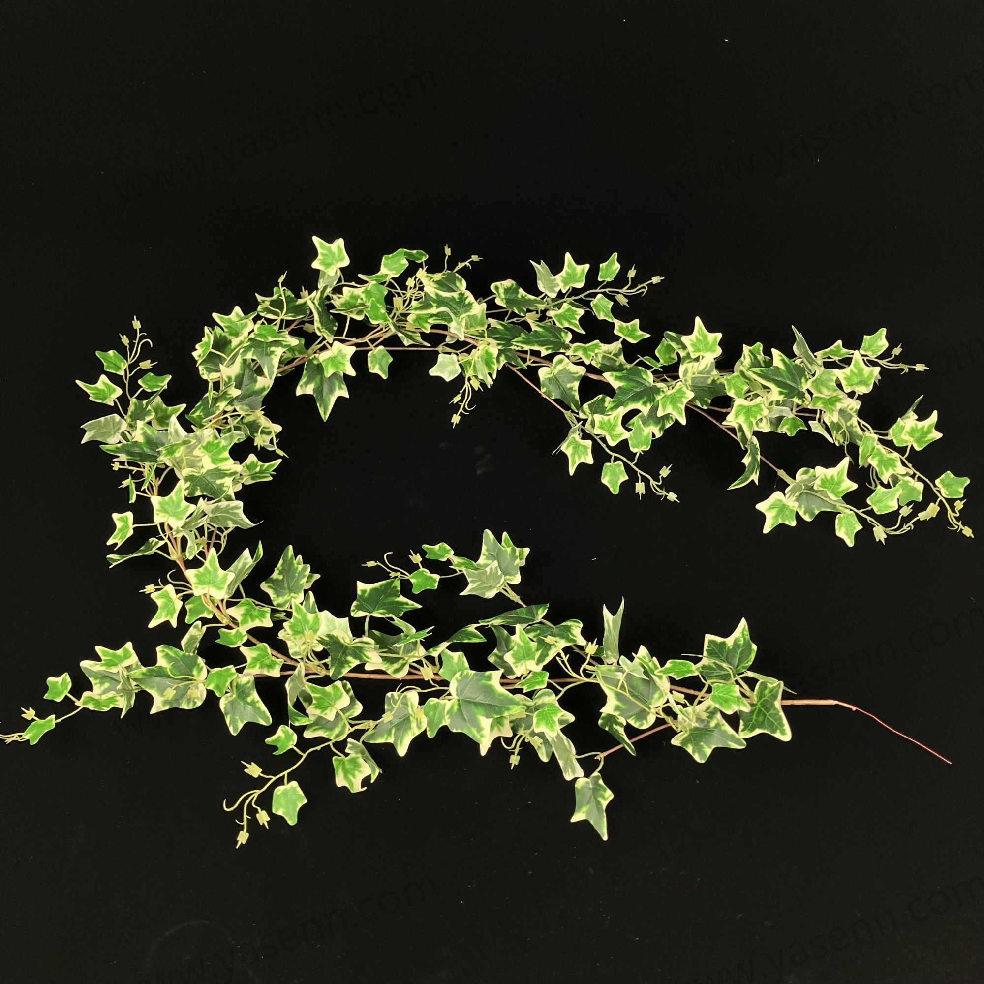 HEIGHT 180CM GRAPEVINE YSG24001